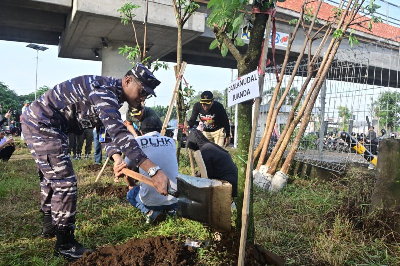 Sinergitas Lanudal Juanda Bersama Forkopimda, Tanam 1000 Pohon Puli Dan Kerja Bakti Massal Di Bundaran Fly Over Aloha Sidoarjo